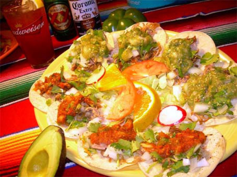 Soft Taco Appitizer Plate, Carnitas, Chicken and Beef